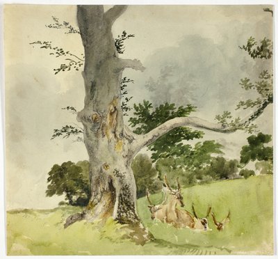Familia de ciervos bajo un árbol de Robert Hills