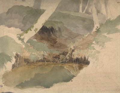 Piscina forestal de Robert Hills