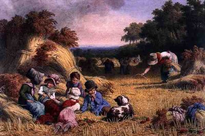 Campo de Cosecha de Robert Hills