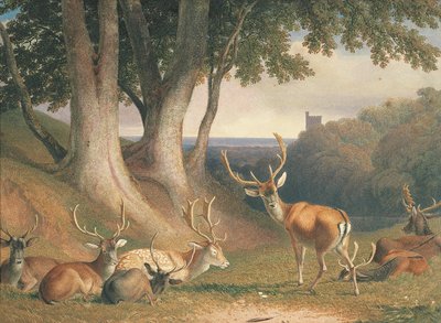 Paisaje con ciervos, c.1800 (lápiz y acuarela sobre papel) de Robert Hills