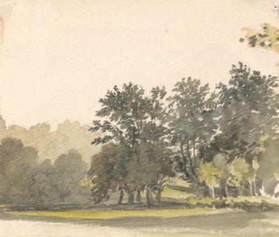 Paisaje con árboles de Robert Hills