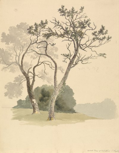 Huertos en Under River, cerca de Knole de Robert Hills