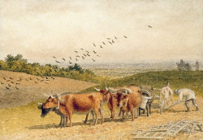 Bueyes arando un campo en la llanura de Robert Hills