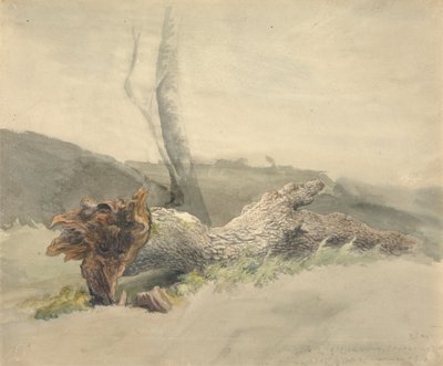 El árbol caído de Robert Hills
