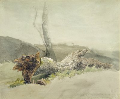 El árbol caído, c.1804 de Robert Hills