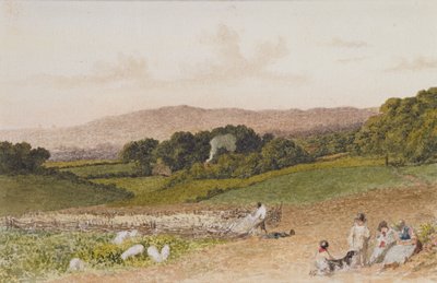 El campo de nabos de Robert Hills