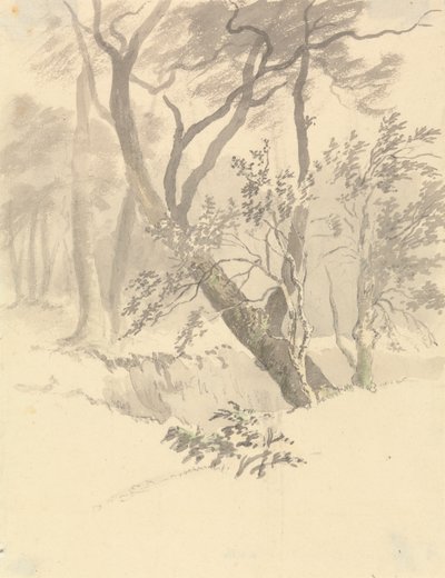 La madera de Robert Hills