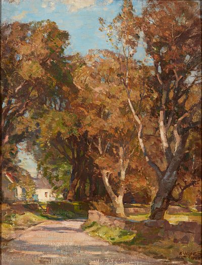 Al borde del camino cerca de Colvend Manse, Dalbeattie de Robert Hope
