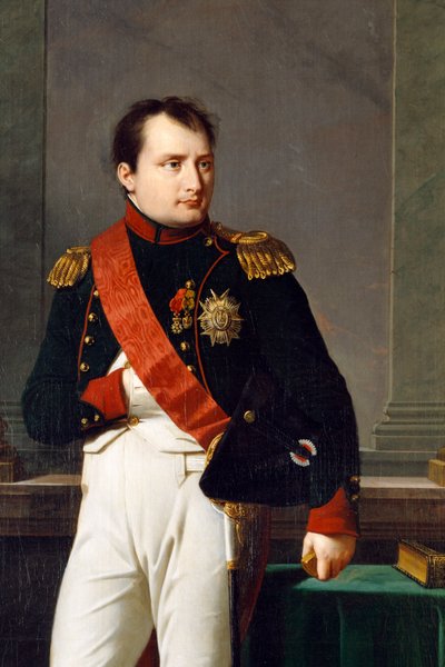 (detalle) de un retrato de Napoleón Bonaparte, 1812 de Robert Lefevre