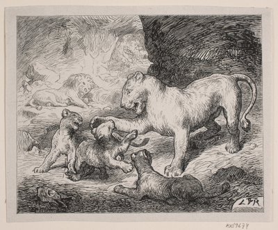 Cachorros de león. Ilustración para Chr. Winther