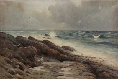 Costa rocosa ( óleo sobre lienzo) de Robert Russell MacNee