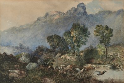Paisaje con patos reales de Robert Scott Temple