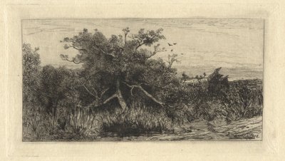 Árbol nudoso de Robert Swain Gifford