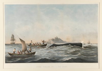 Caza de ballenas de esperma, No. 1 El caso de Robert Swain Gifford
