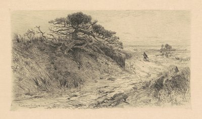 El camino a la orilla de Robert Swain Gifford