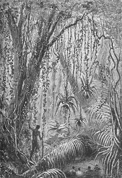 Bosque brasileño, c1885-1890 de Robert Taylor Pritchett