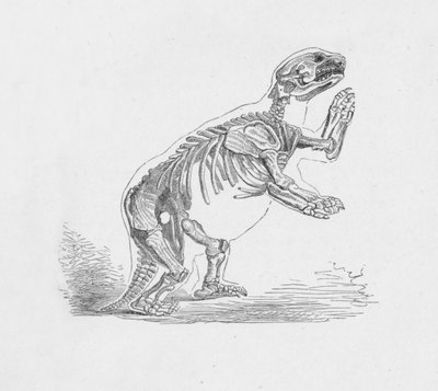 Esqueleto del Mylodon Darwinii, c1885, 1890 de Robert Taylor Pritchett