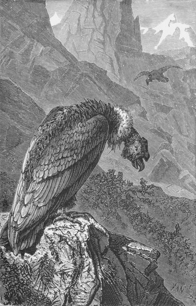 El Cóndor, c1885, 1890 de Robert Taylor Pritchett