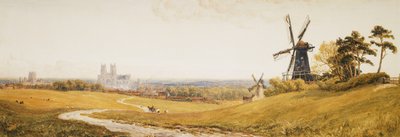Beverley Minster de Robert Thorne Waite