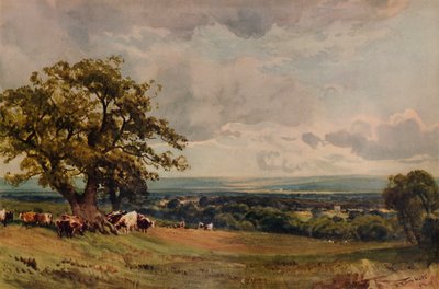 Cerca de Ashford, Kent de Robert Thorne Waite