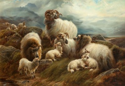 Ovejas en un paisaje, 1894 de Robert Watson