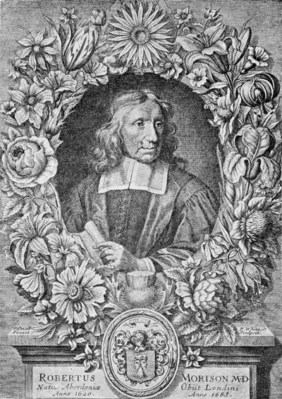 Robert Morison de Robert White