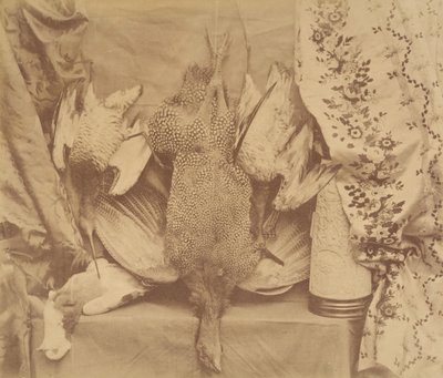 Naturaleza muerta y bordado, 1856 de Robert Wilfred Skeffington Lutwidge