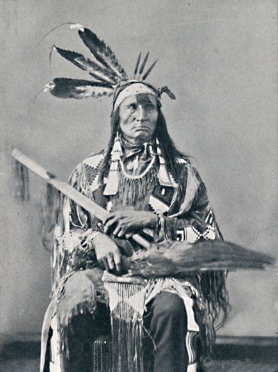 Un jefe sioux, 1912 de Robert Wilson Shufeldt