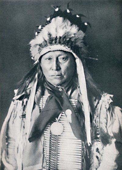 Un jefe sioux en su pintura de guerra, 1912 de Robert Wilson Shufeldt