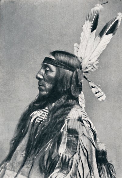 Vista de perfil de un Sioux, 1912 de Robert Wilson Shufeldt
