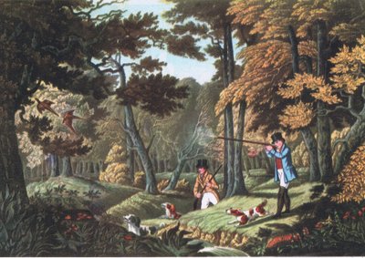 Caza de faisanes cerca de Uxbridge, Nature in Britain publicado por Collins, 1946 de Robert the Elder Havell