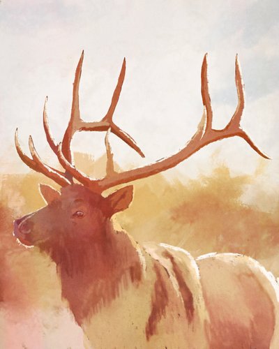 Alce de Toro, 2023 (digital) de Roberta Murray