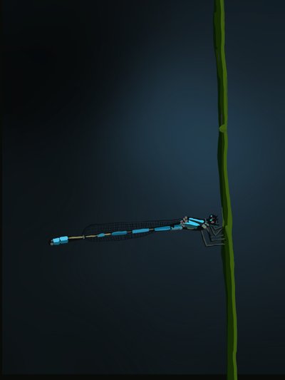 Damselfly, 2022 (digital) de Roberta Murray