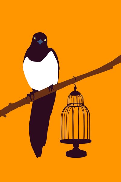 Garden Variety Magpie, 2022 (digital) de Roberta Murray