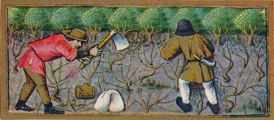 Marzo - trabajando en el viñedo, siglo XV, 1939 de Robinet Testard