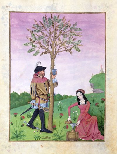 Ms Fr. Fv VI #1 fol.162v Extrayendo savia de un árbol, Ilustración del 