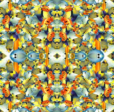 Azulejo de peces de caleidoscopio de Robyn Parker