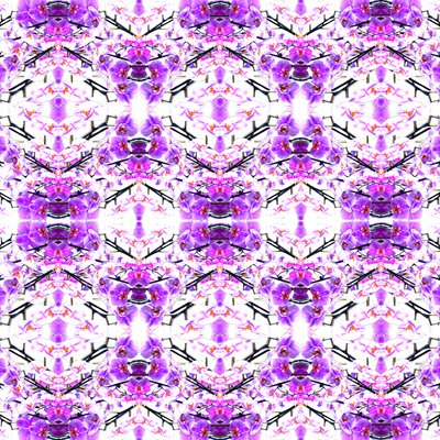 Repetición de Orquídea de Robyn Parker
