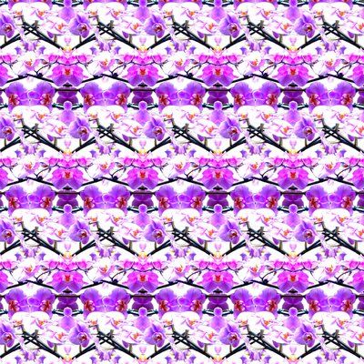 Repetición de Orquídea Púrpura de Robyn Parker