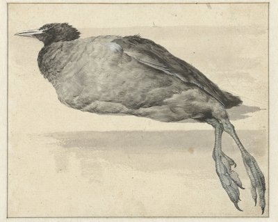Falsa foca muerta de Rochus van Veen