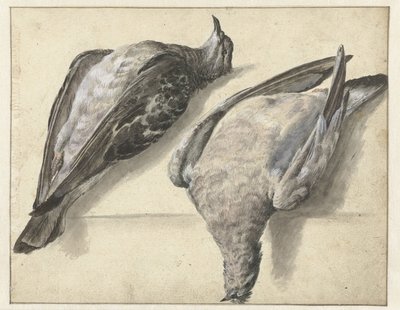 Dos palomas muertas de Rochus van Veen