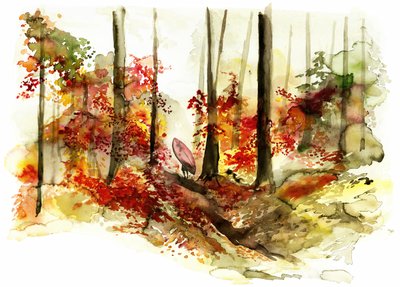 Viaje de surf por el bosque otoñal de RodMacIver