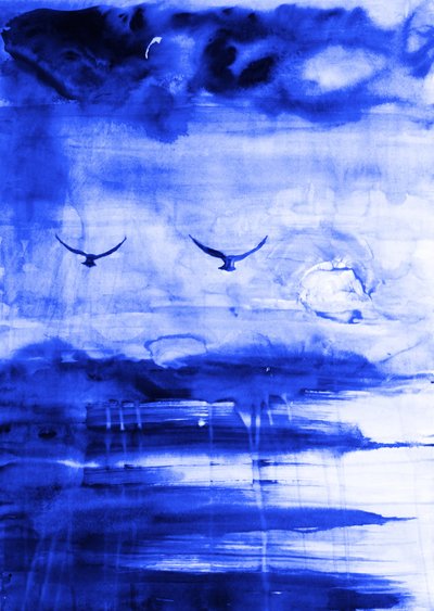 Aves sobre el horizonte azul de RodMacIver