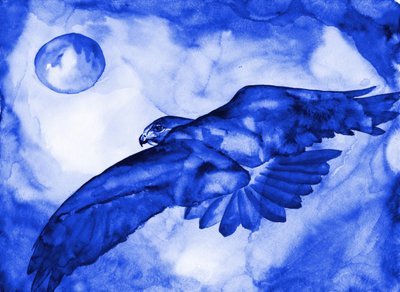 Vuelo de la Luna del Halcón Azul de RodMacIver
