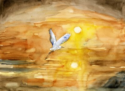 El vuelo de la garza al atardecer dorado de RodMacIver