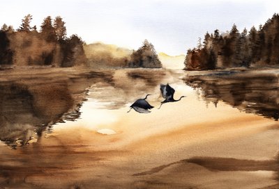 El vuelo de las aves del Lago Dorado de RodMacIver