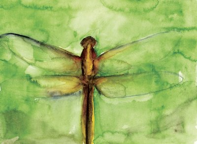 Acuarela de una libélula verde de RodMacIver