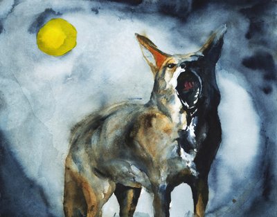 La luna del coyote aullador de RodMacIver