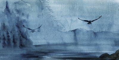 Vuelo sobre el lago Misty de RodMacIver