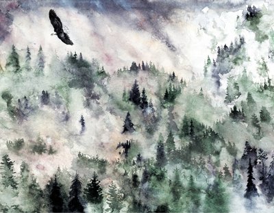 Águila de las Montañas Brumosas de RodMacIver
